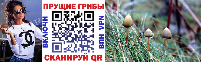 где найти наркотики  Тайга  это Telegram  Галлюциногенные грибы ЛСД 